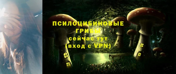молекула духа Алексеевка