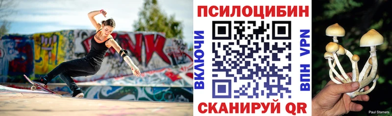 Купить где  Наволоки  Галлюциногенные грибы Magic Shrooms 