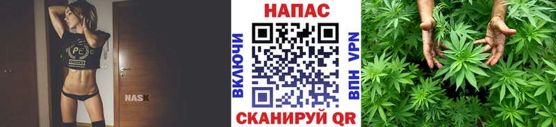 Купить  Наволоки  Шишки марихуана Amnesia 